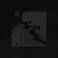 > sociatal collapse <