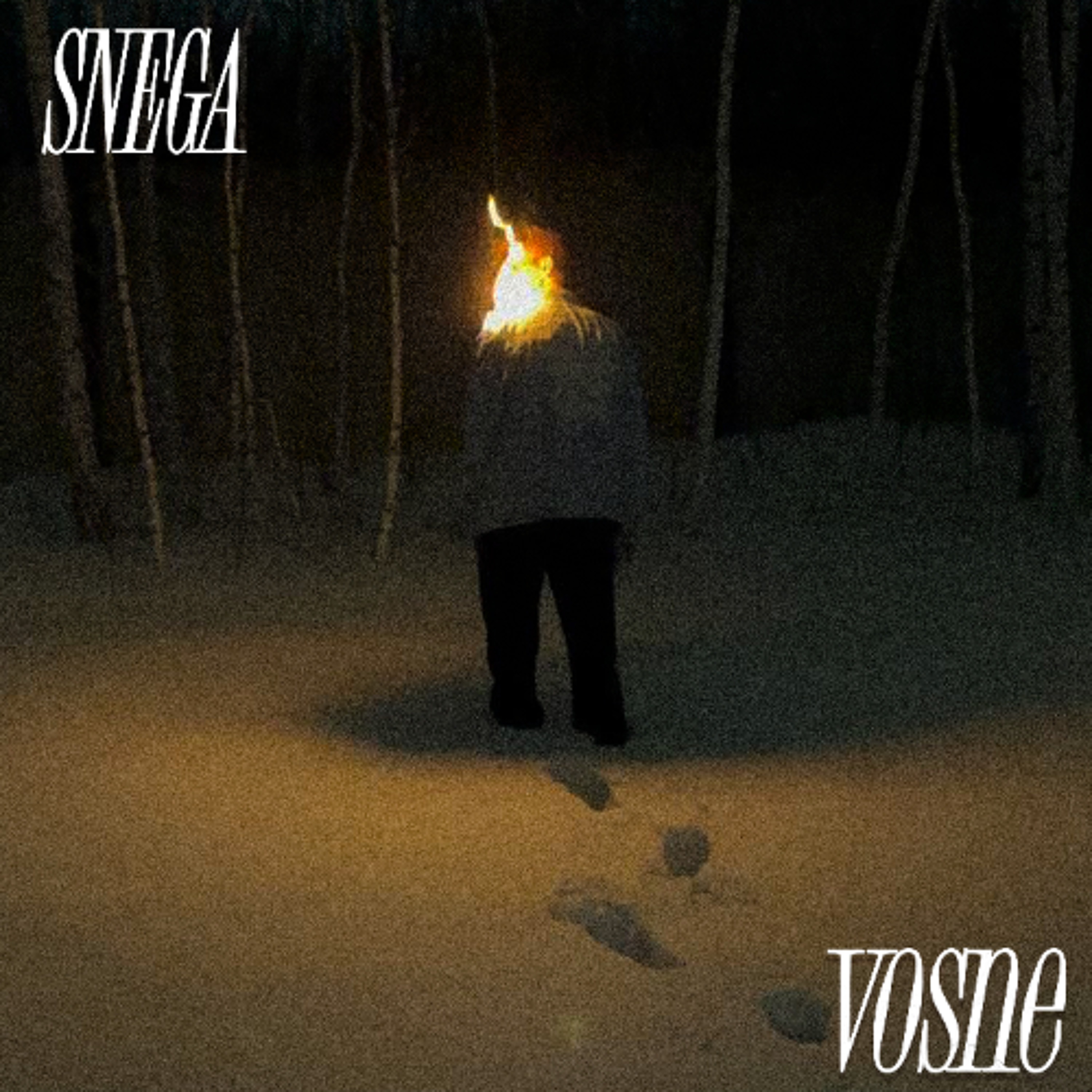 VOSNE - SNEGA episode artwork
