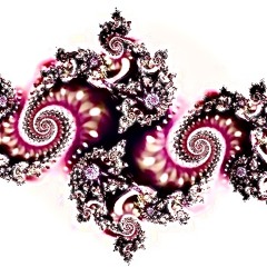 the order of the sacred spiral