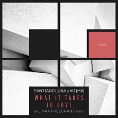 Santiago Luna & AO (MX) - What It Takes To Love (Max Freegrant Remix)