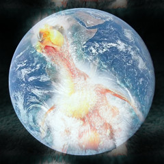 fly bird, fly! (tettix hexer - somnibirth remake)