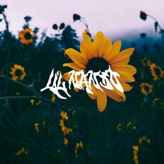 Lil Nando - feel like this (feat. Nobdy)