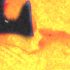 Bu