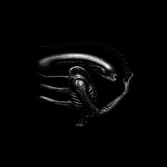 Skrillex & ISOxo - Anybody (epitaph flip)