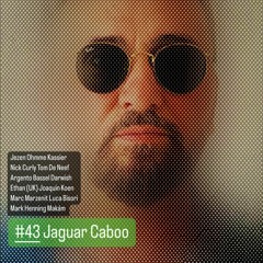 #43 Caboo - Jaguar 2024