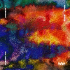 PREMIERE: Pawas - Hangover [Sound Of Berlin]