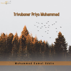 Trivuboner Priyo Muhammad