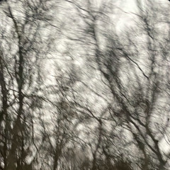 saudade **out on all plats**