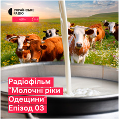 Чому невигідно тримати корів і як це впливає на ціни на молоко? Радіофільм "Молочні ріки Одещини". Епізод 3