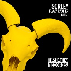 Sorley - Flava Rave [HE.SHE.THEY. ]