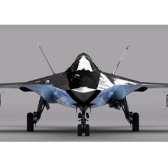 Mig 41 The Blue Assassin