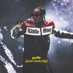 gorilla (joash charles flip)(pitched)(FREE DL)