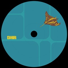 PREMIERE: Joe Koshin & Chez - Giallo [DHRD001]