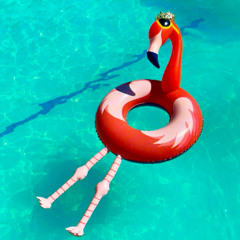 Poolside in Palm Springs