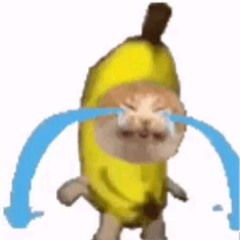 gabba gabba hp baile gonorr3a
