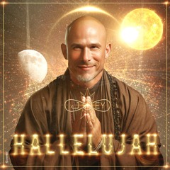 Ofer Naveh Feat. Joey Bar - Hallelujah