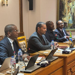 International Relations Deputy Minister Botes