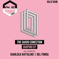 The Sahoo Conection - Suspiro (Del Fonda Remix) Snippet