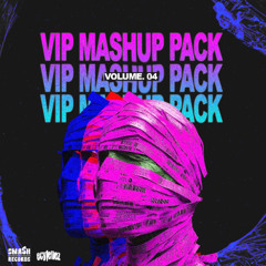 VIP MASHUP PACK VOL. 4 (30+ TRACKS)