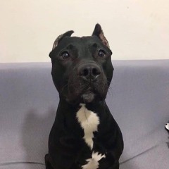 KAVAK - İZLER KALIRSIN 2.0