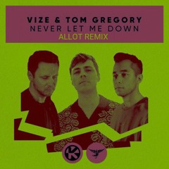 VIZE & Tom Gregory - Never Let Me Down (ALOTT Remix)
