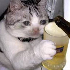 pivo