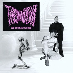 Florent Pagny & Big Ali - Des larmes de sang (The Window Remix)