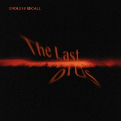 Endless Recall - The Last Of Us