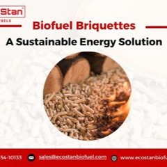 Sustainable Energies Renewable Power With Biofuel