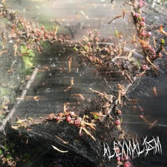 UNIZONE: ALEXMALISM [s02e10] 𝖑𝖎𝖛𝖊 𝖘𝖊𝖙