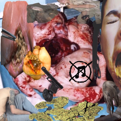 stabbedinthetorso