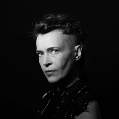 Gerberei_electric indigo_08.02.2003