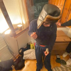 barbados island trustory - duse