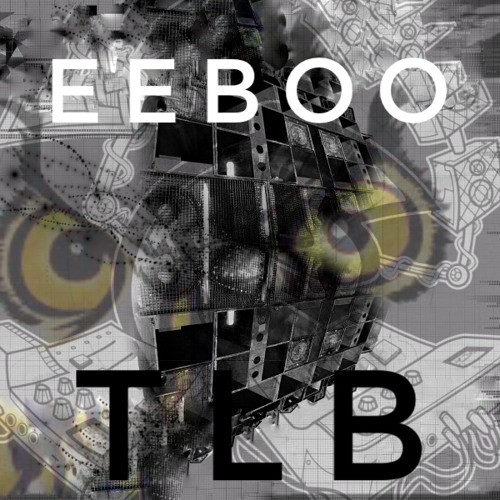 Eeboo vs TLB- Yoursonar  (2014)