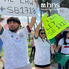 PROTESTAS CONTRA LEY DE FLORIDA