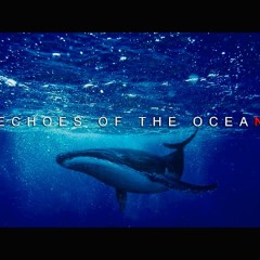 Echoes Of The Ocean - A Soundscape Collection