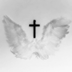 thru my head ✞𝟐𝟎𝟐𝟑✞  (p. suicidica)