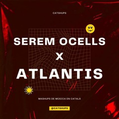 Oques Grasses & Netherworld - Serem Ocells vs Atlantis (Catshups Mahsup) - DESCARREGA GRATUÏTA