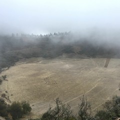 Sheep herd down In Crater on Gran Canaria - Binaural field recording, Spain 2017