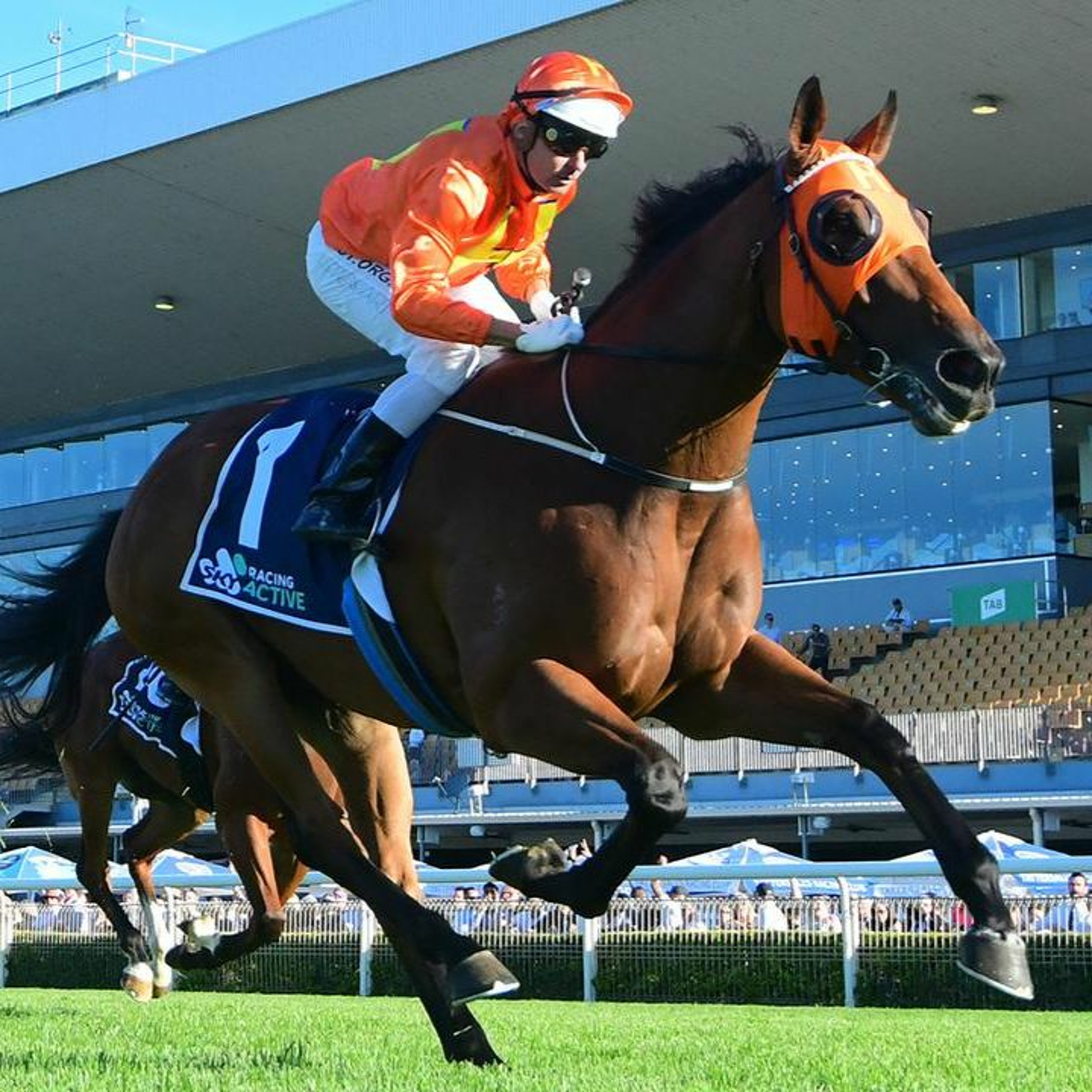 Bernborough Stakes Day Punting Preview