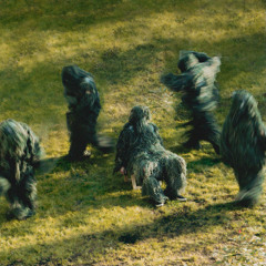 Cujo