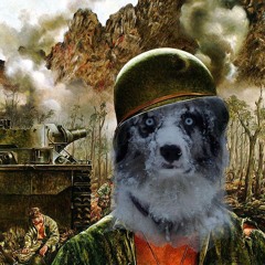 Calculated Honesty Is A Stiletto