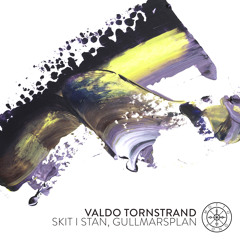 Skit i Stan Gullmarsplan, by Valdo Tornstrand (MOTTO31)