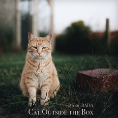Cat Outside The Box | Short Instrumental Music in 80 BPM