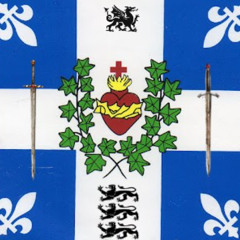 KnightOfTheLight (highsoulja x gray)