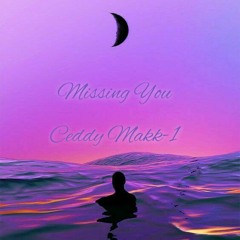 Missing  You