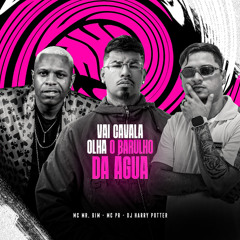 VAI CAVALA, OLHA O BARULHO DA ÁGUA