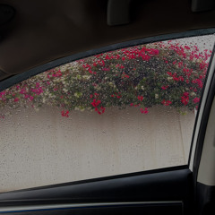 يتشكّلون على هيئةِ حمامة