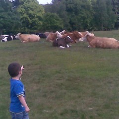 Man on the moon - demo