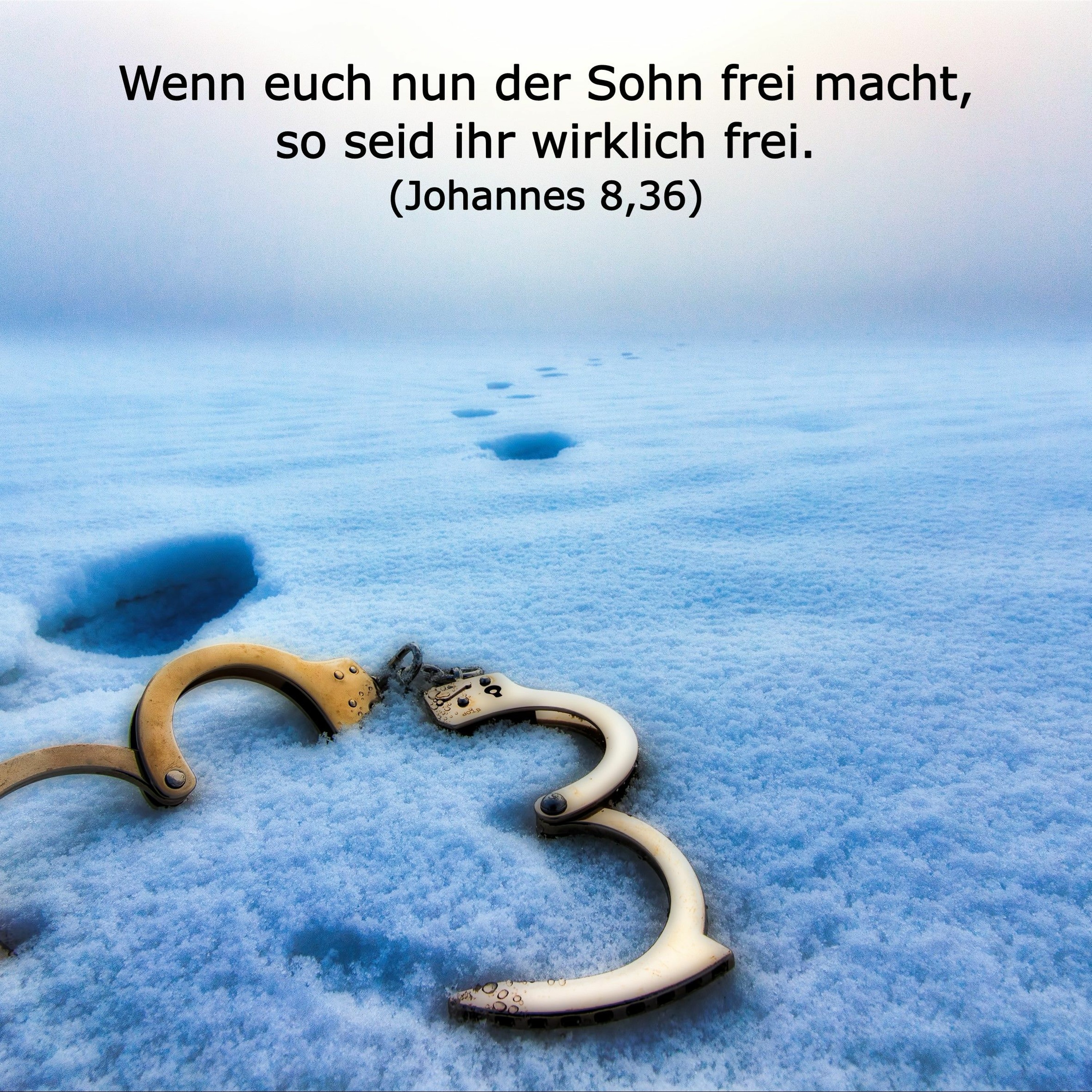 In einem Jahr durch die Bibel